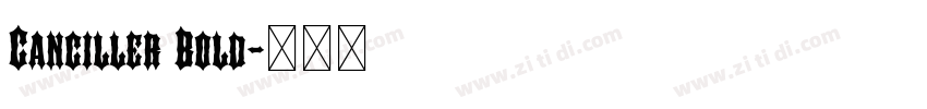 Canciller Bold字体转换 Canciller Bold字体转换